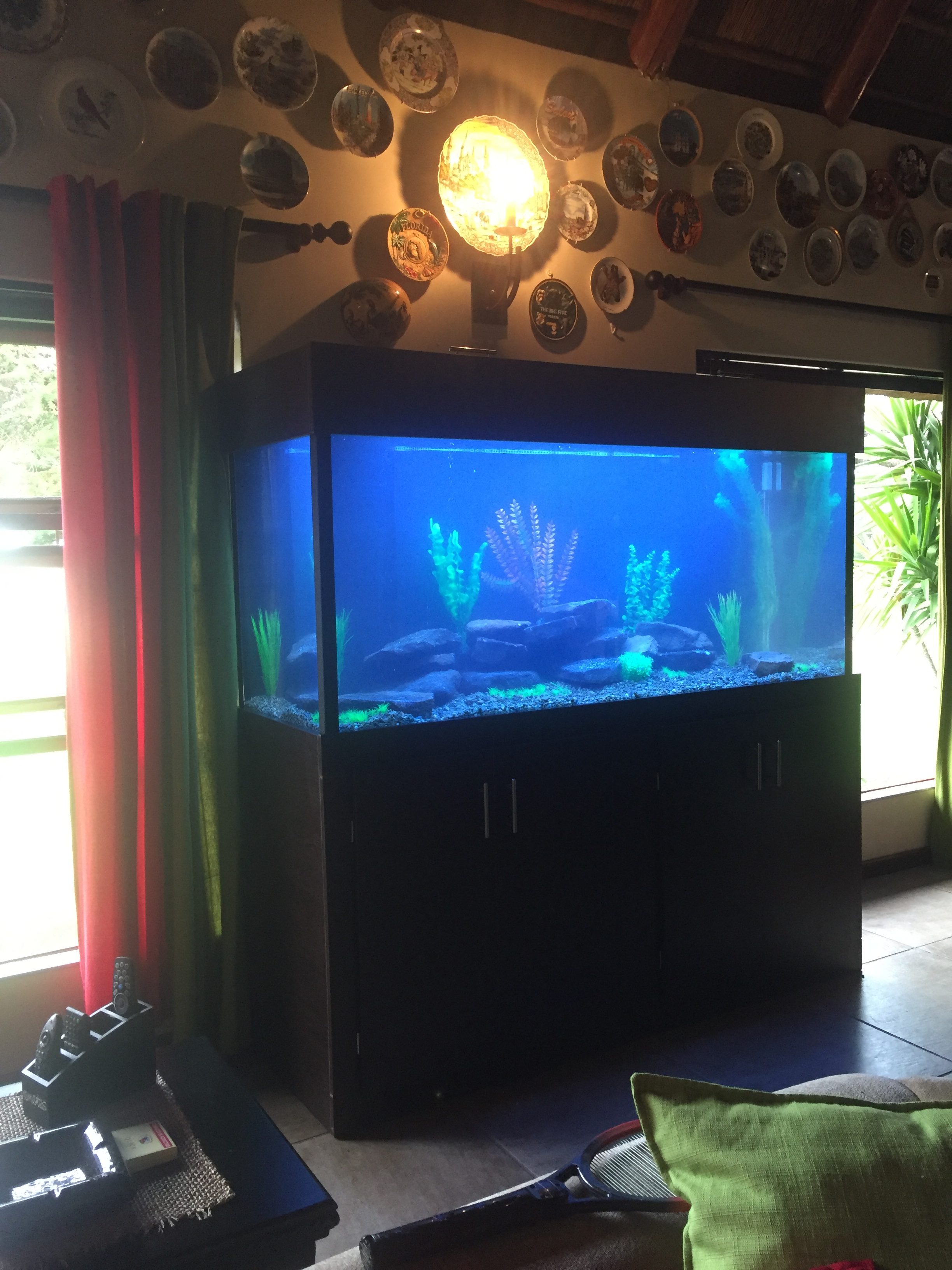 fresh water aquarium. custom fish tanks.