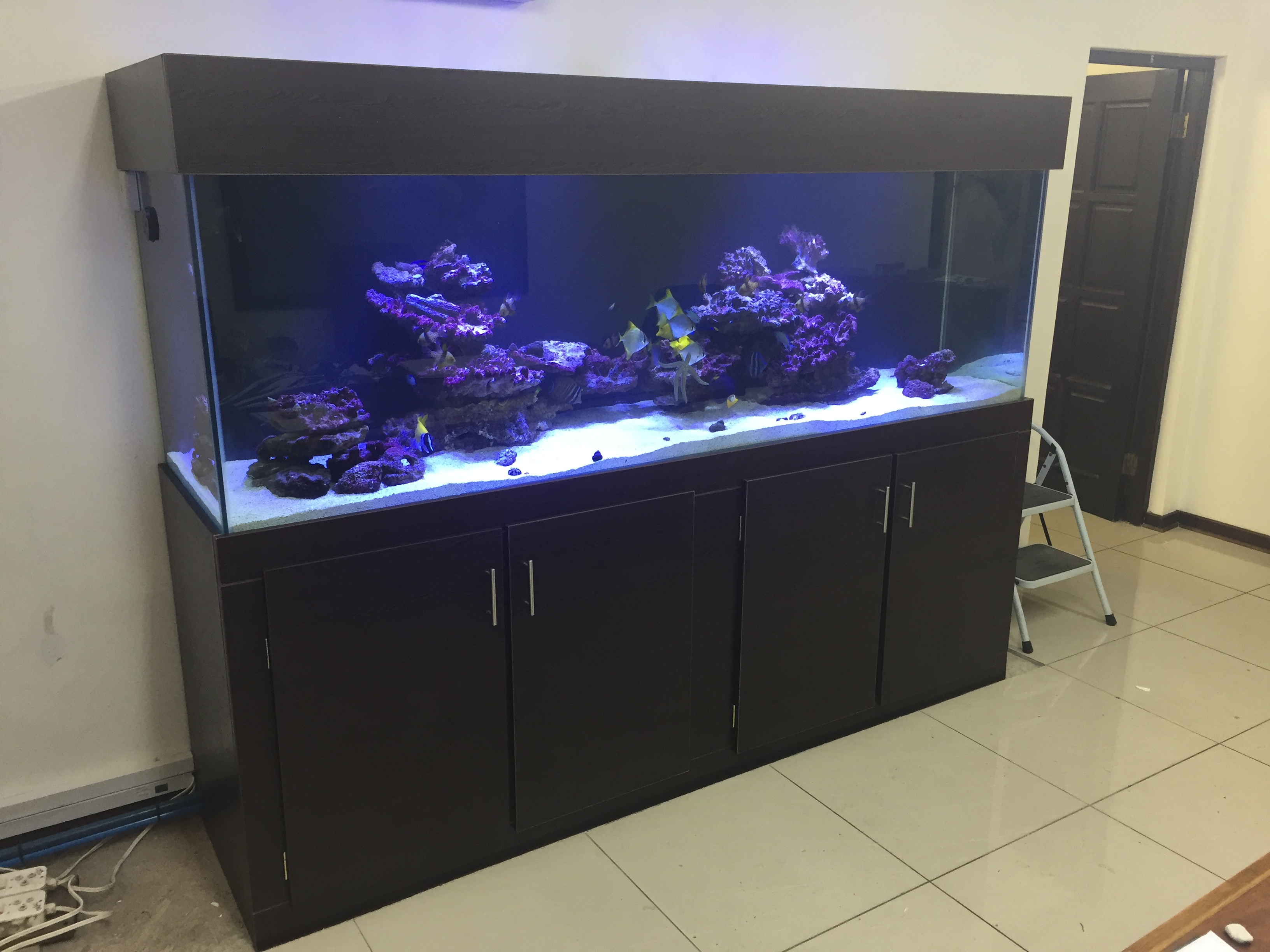 Salt water aquarium - custom built fish tanks