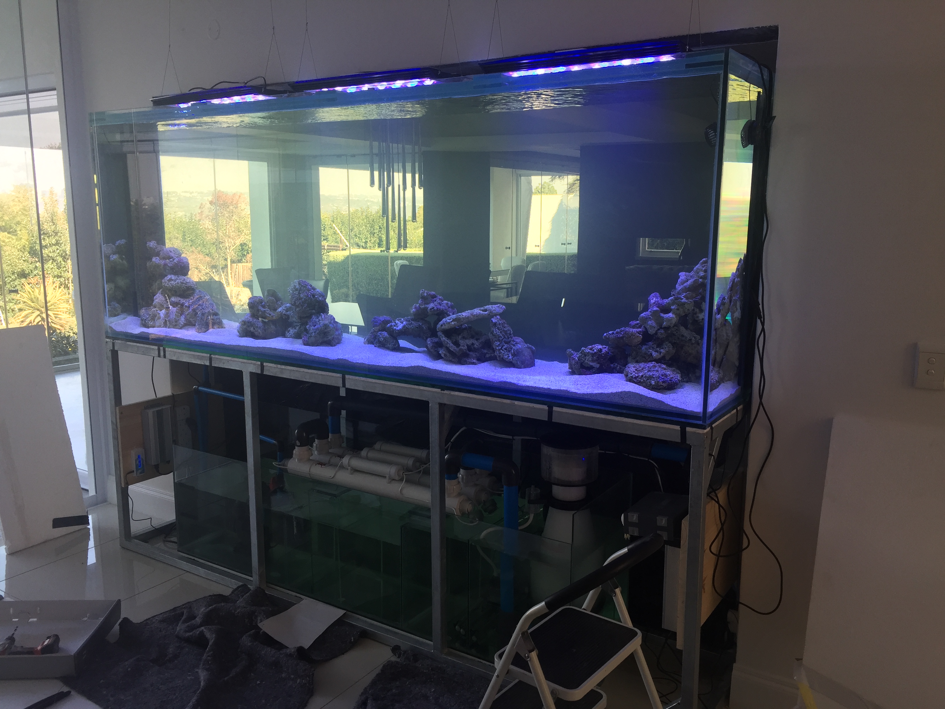 salt water aquarium - custom built aquariums