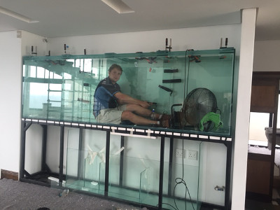 Salt water aquarium build. custom fish tanks