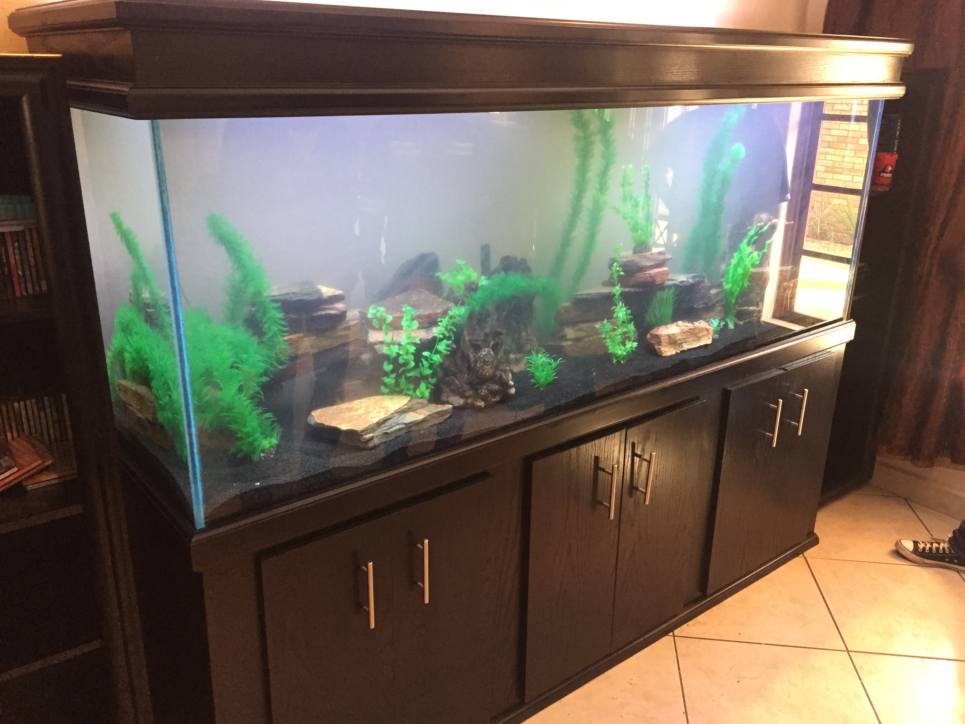 fresh water aquariums. custom fish tanks.