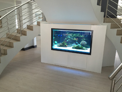 Salt water reef aquarium- custom fish tanks