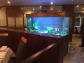 Fresh water - custom fish tanks