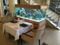 Salt water fish only aquariums - custom built aquariums