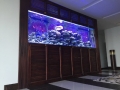 Marine Reef Aquarium - custom fish tanks