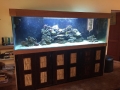 Salt water fish only aquariums - custom built fish tanks