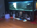 Salt water aquariums