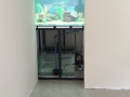 Fresh water aquariums limpopo.
