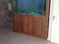 fresh water aquarium. custom built aquariums.