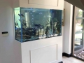 www.customfishtanks.co.za- fresh water aquarium