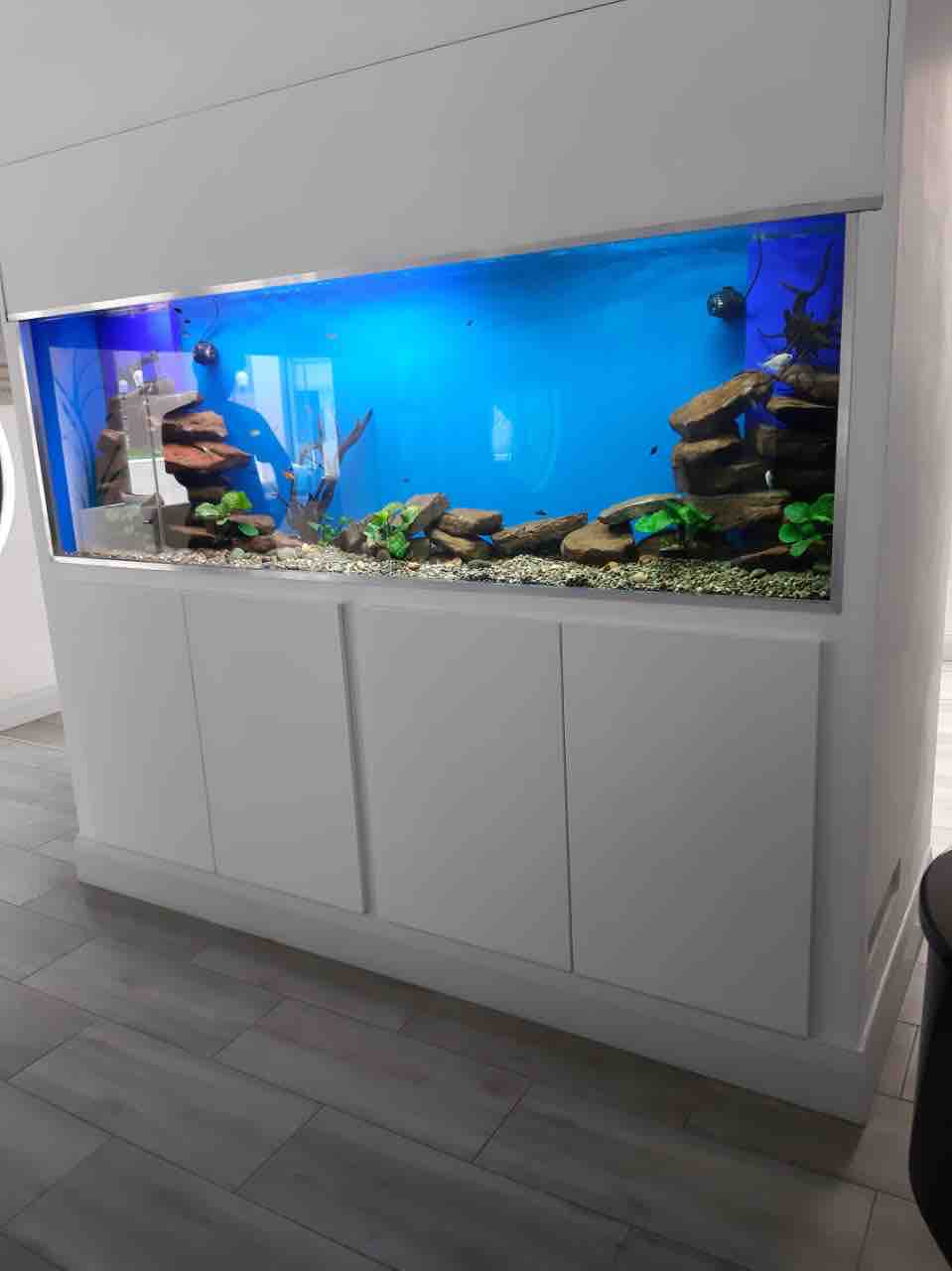 www.customfishtanks.co.za - fresh water aquarium