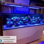 Standard Range of Blue Fish Aquariums